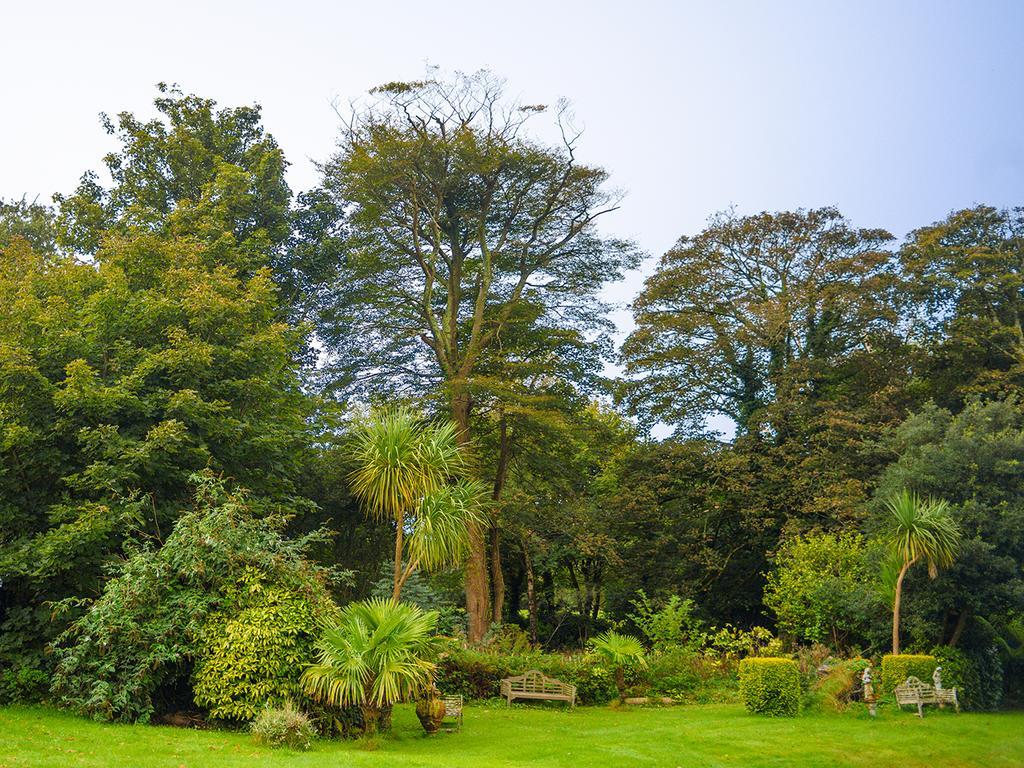 Penventon Park Hotel Redruth Eksteriør billede